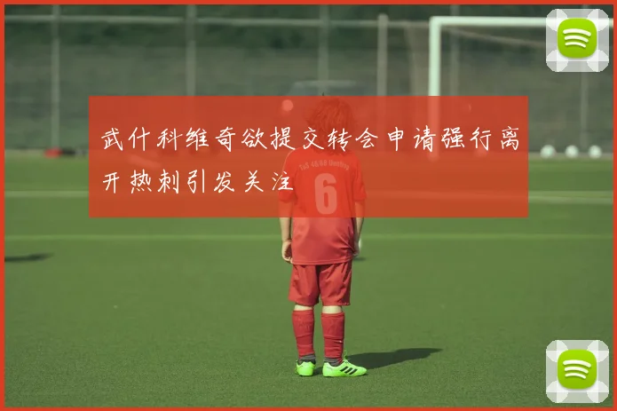 武什科维奇欲提交转会申请强行离开热刺引发关注