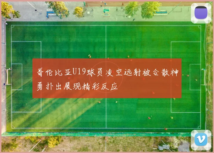 哥伦比亚U19球员凌空远射被合散神勇扑出展现精彩反应